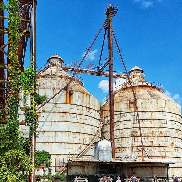 Meet your Posher, Creshawn - Picture 6 of 7